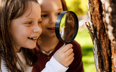 Por qué los niños aprenden mejor inglés en verano