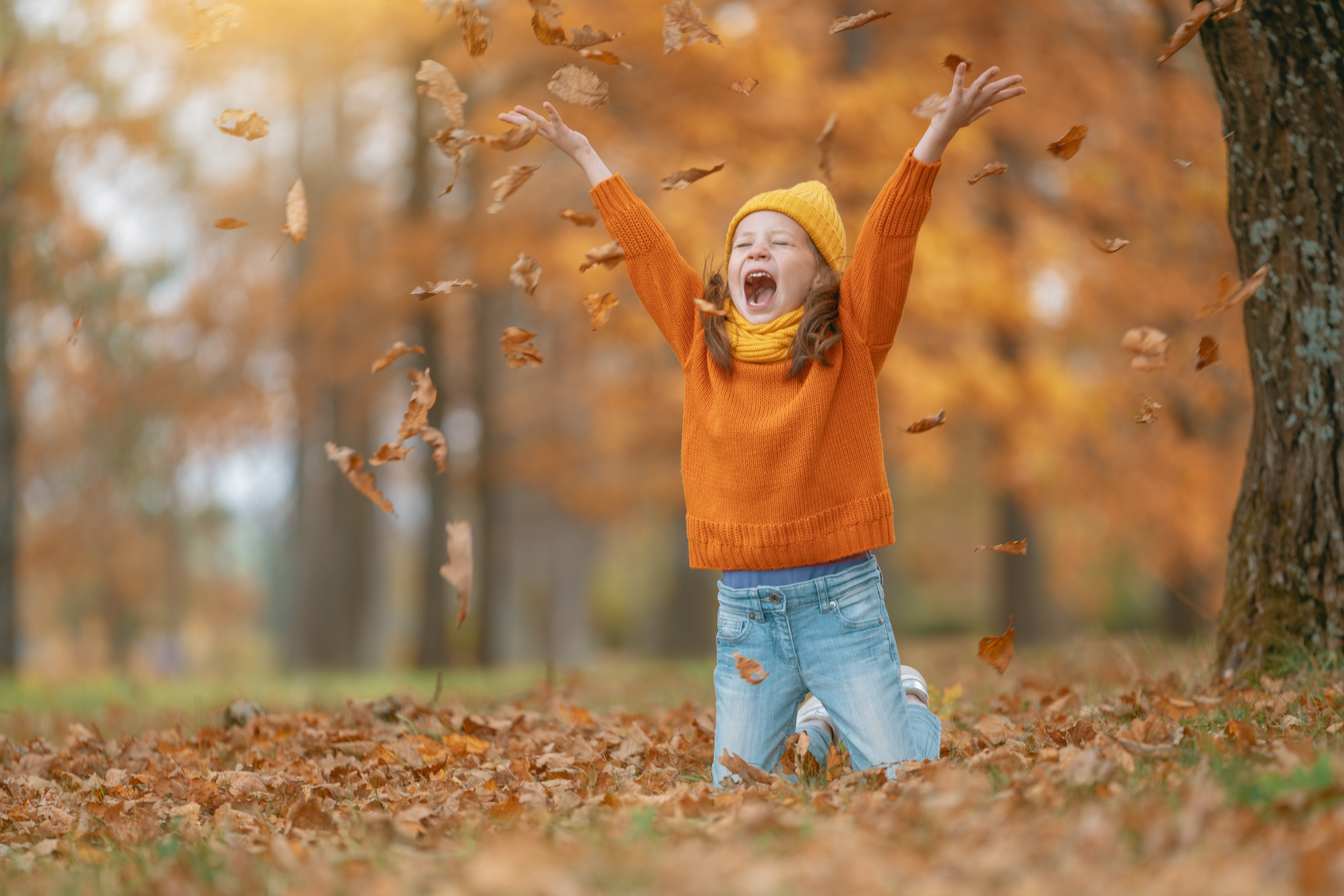 Frases, expresiones y vocabulario de otoño en inglés